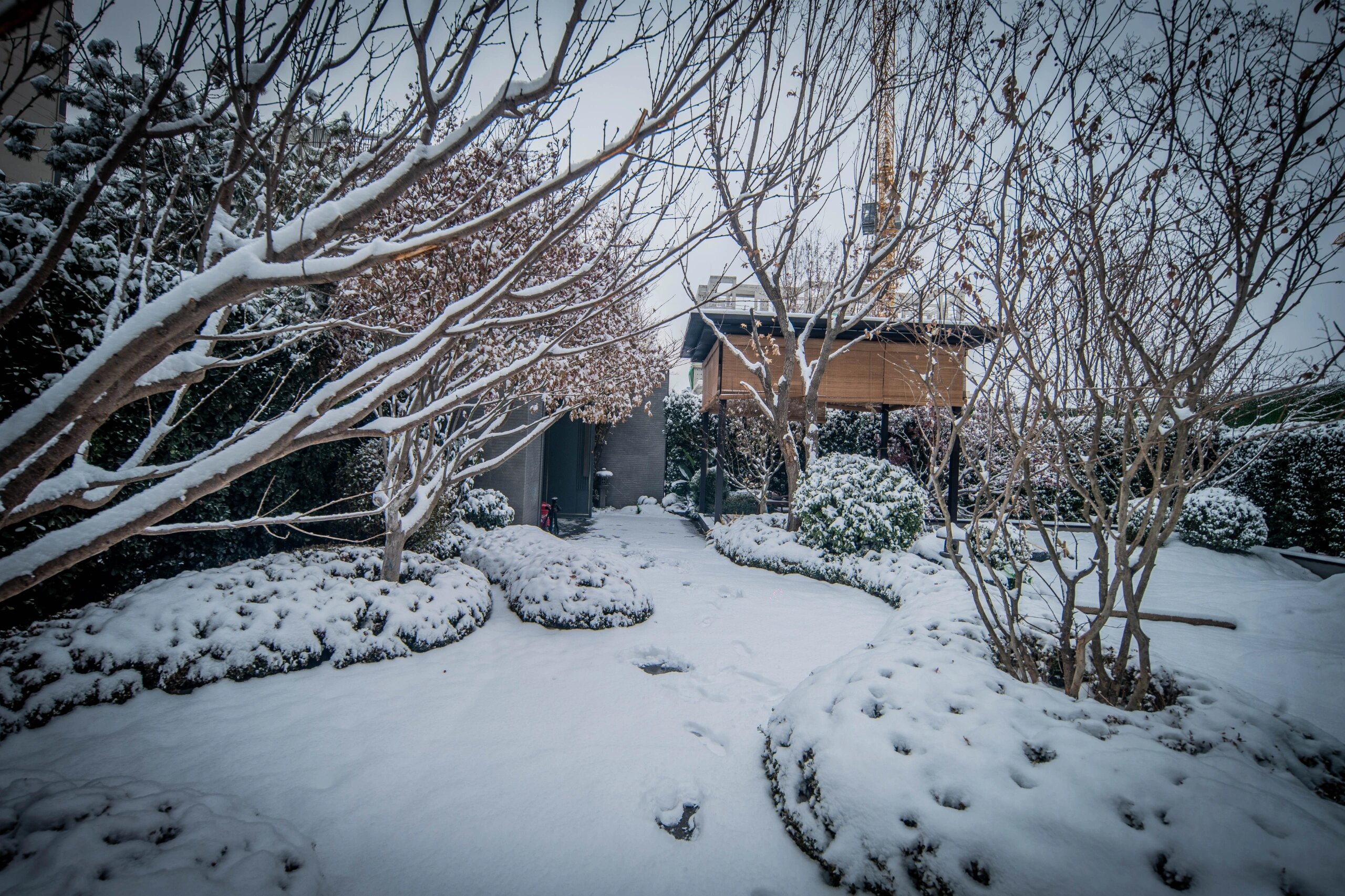 当庭院遇见雪