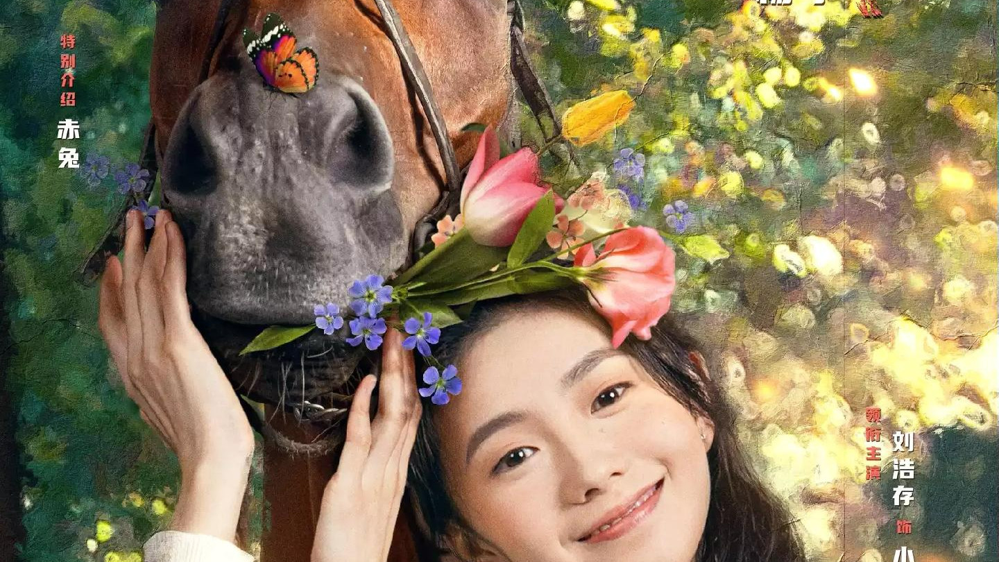 温情与坚韧精神的影片——《龙马精神》