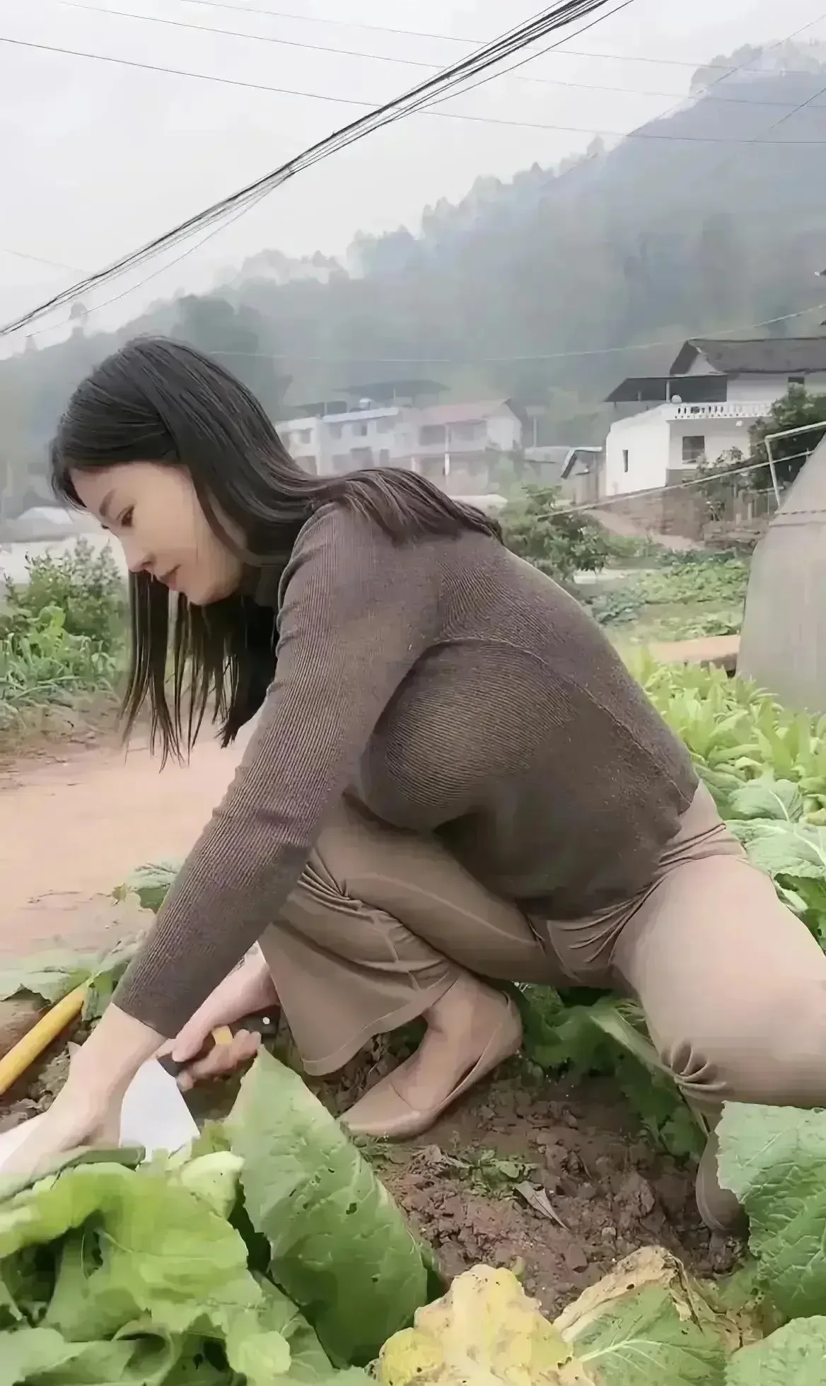 多次在网上看到这张照片，配文各不相同，也不知友友们想表达什么！
单从照片上看，没