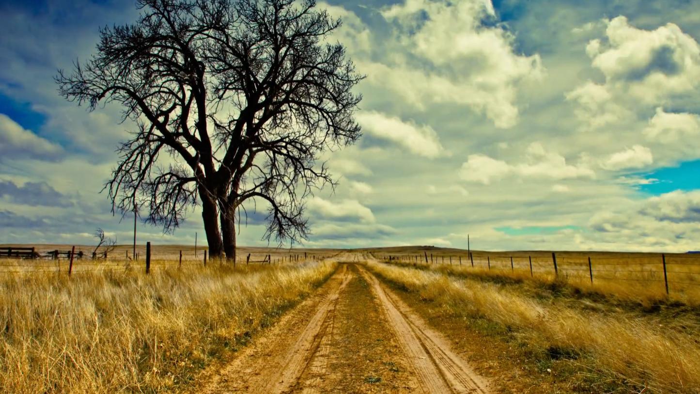 用心感受每一份美好，用爱包容每一份不完美