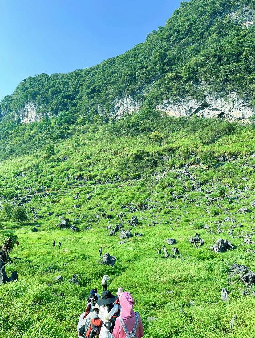 不用去新疆广东也藏了一个绝美大草原