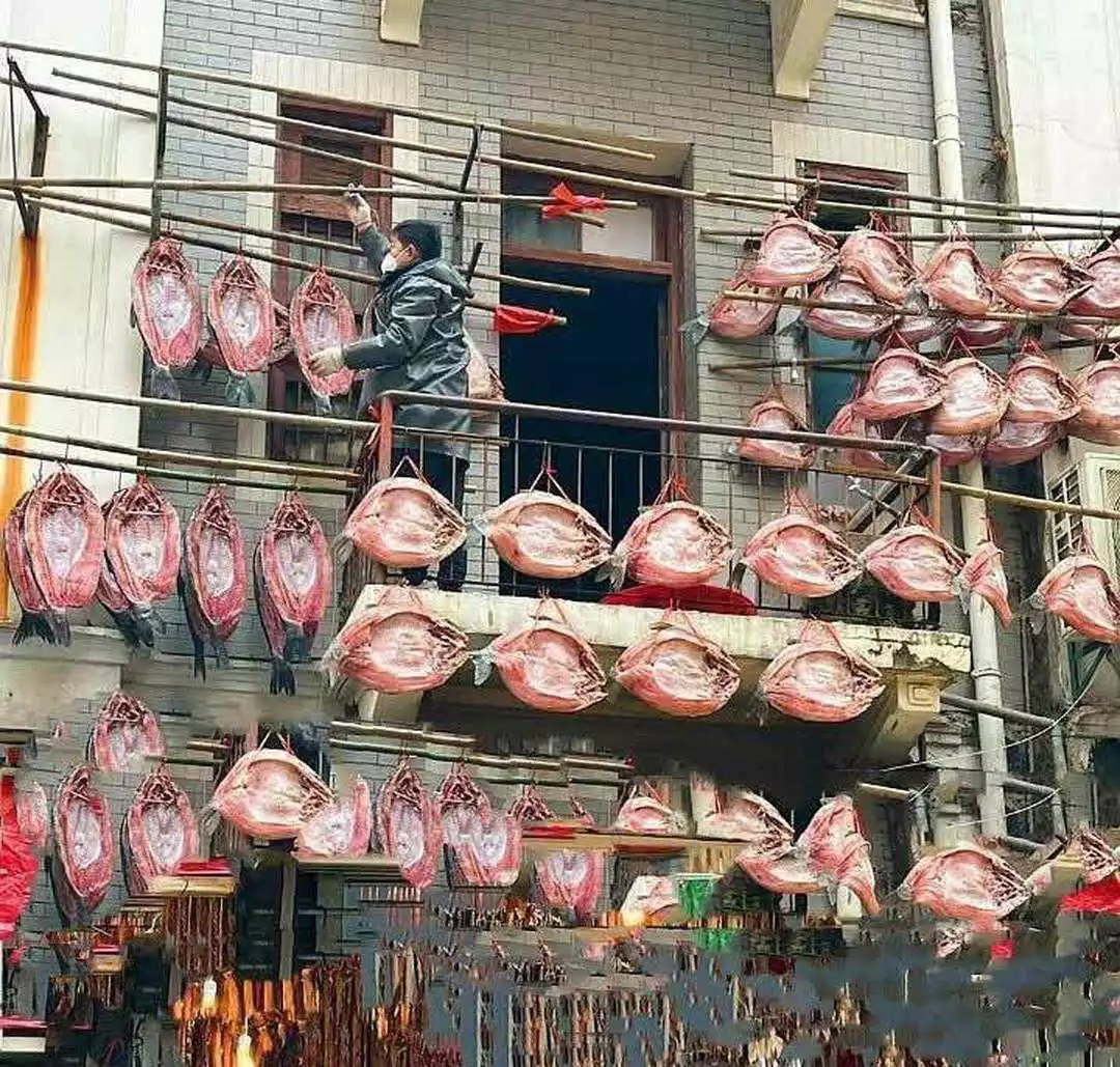 甜晒鲅鱼？这么个晒法，一看就是有钱人，大户人家！