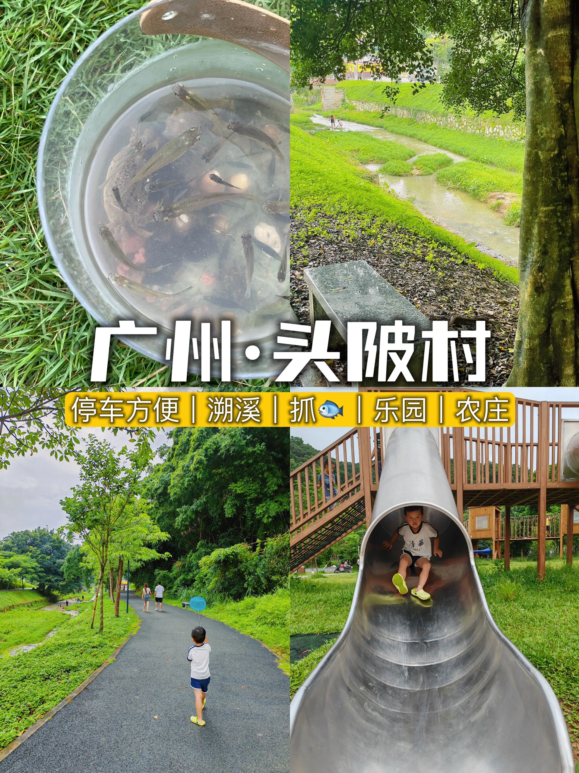 每周带娃出门玩❗️❗️❗️