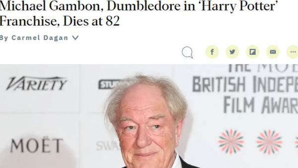 哈利波特世界的离去：迈克尔·甘本的不朽表演，精彩演绎的瑰宝