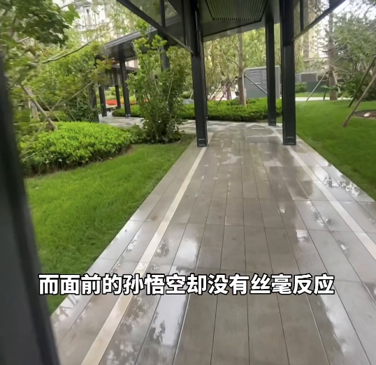 就在众人以为六耳猕猴已死，悟空重归取经路的那天晚上，唐僧偷偷念了遍紧箍咒，而面前