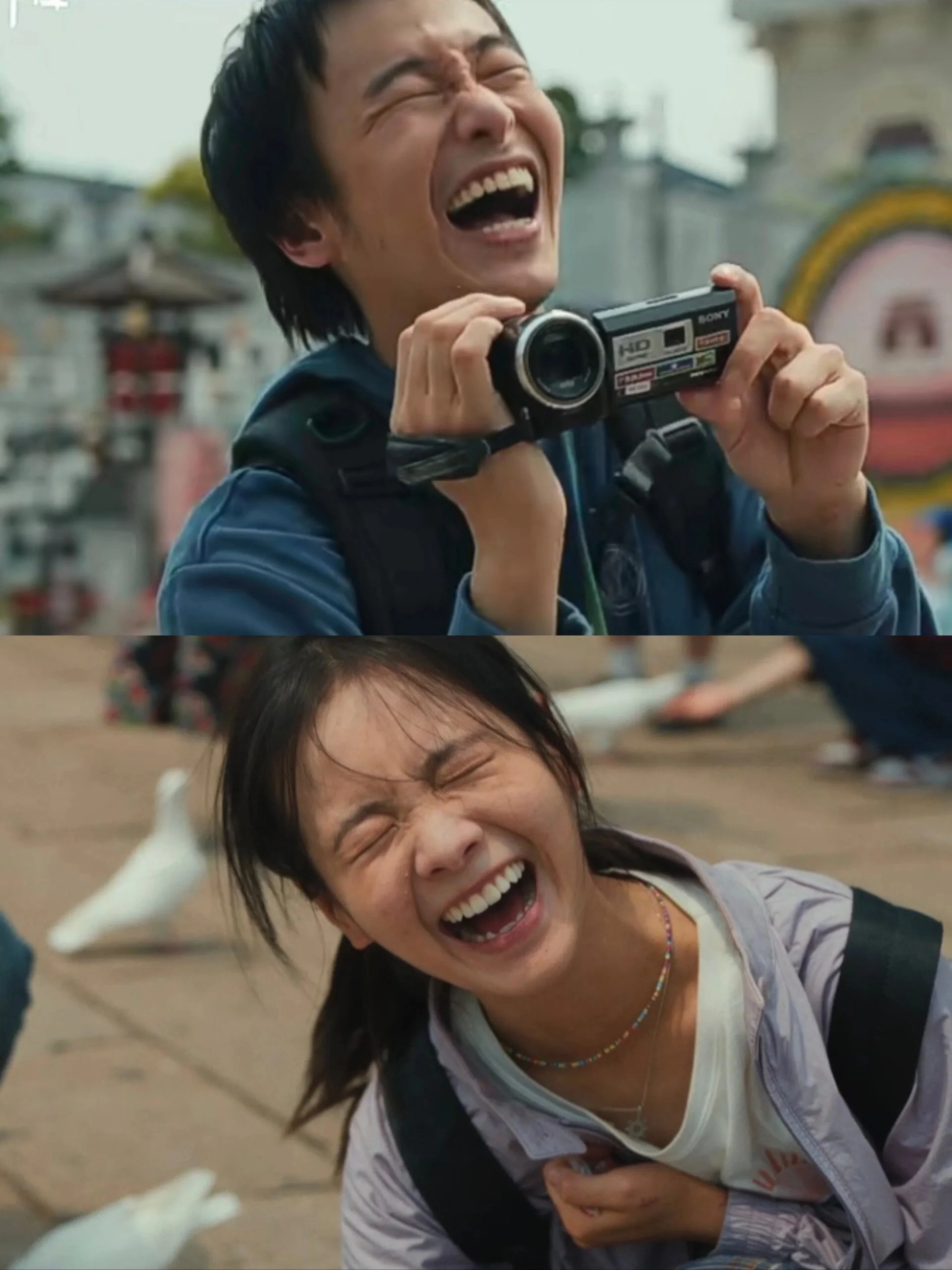 看完《我们一起摇太阳》后遗症