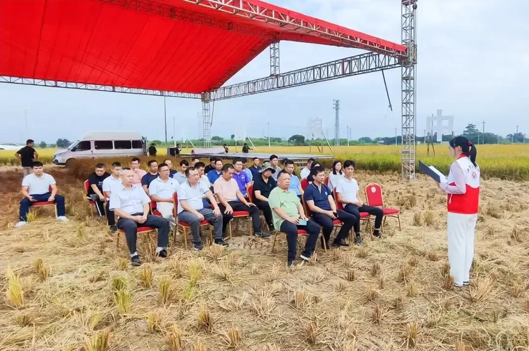 什么是形式主义？这就是形式主义。
在一个清晨，阳光透过稀疏的云层洒落在一片翠绿的
