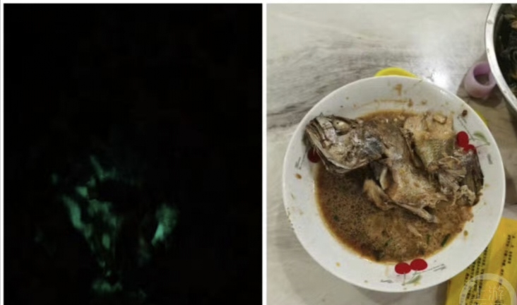 大妈买海鱼红烧后半夜发绿光！
人是铁饭是钢，有些菜吃了你会发光。
最近一位浙江网