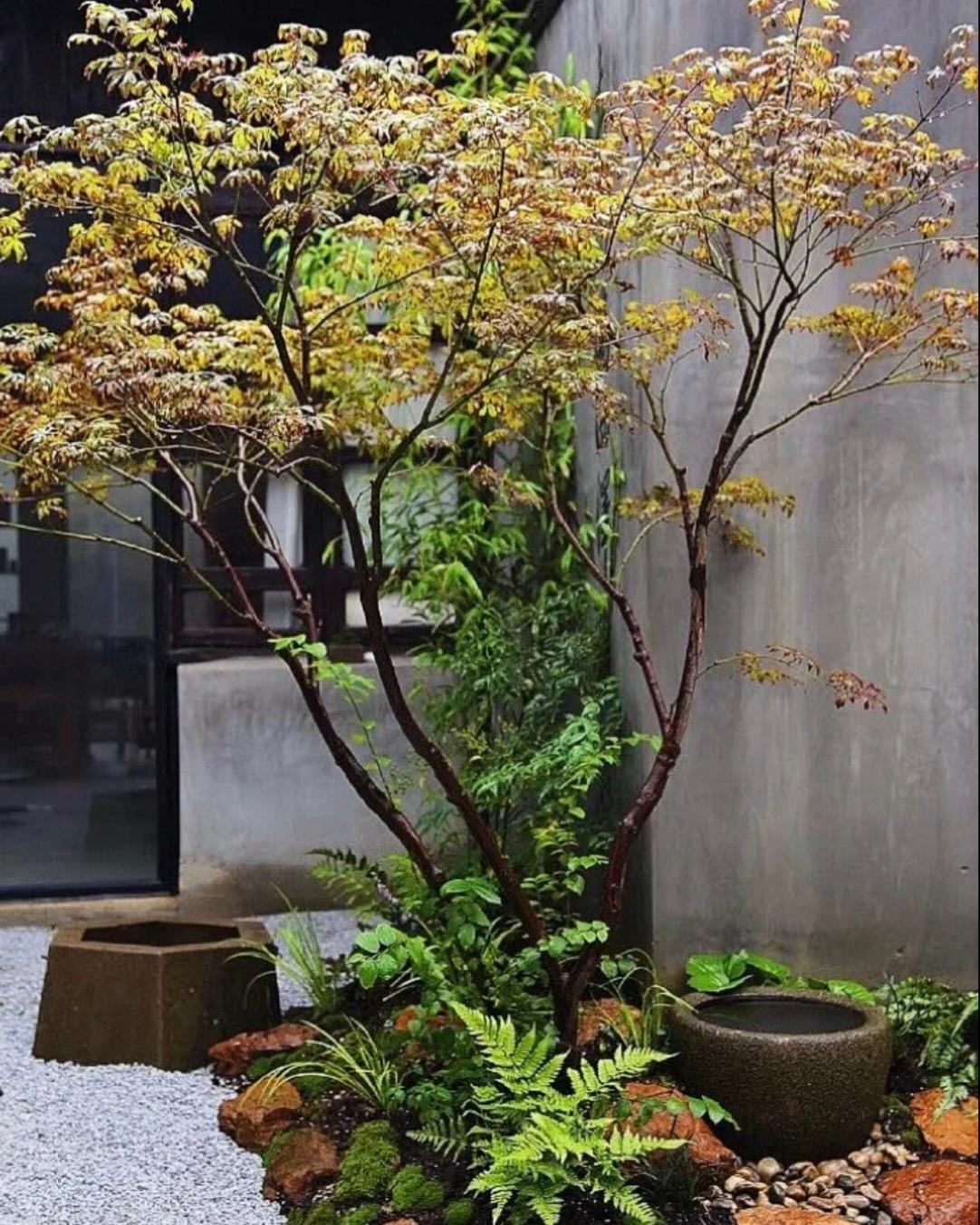 城市的生活，是紧张，是忙碌，是车水马龙般的不停歇………
喧闹的背后是无尽的疲惫和