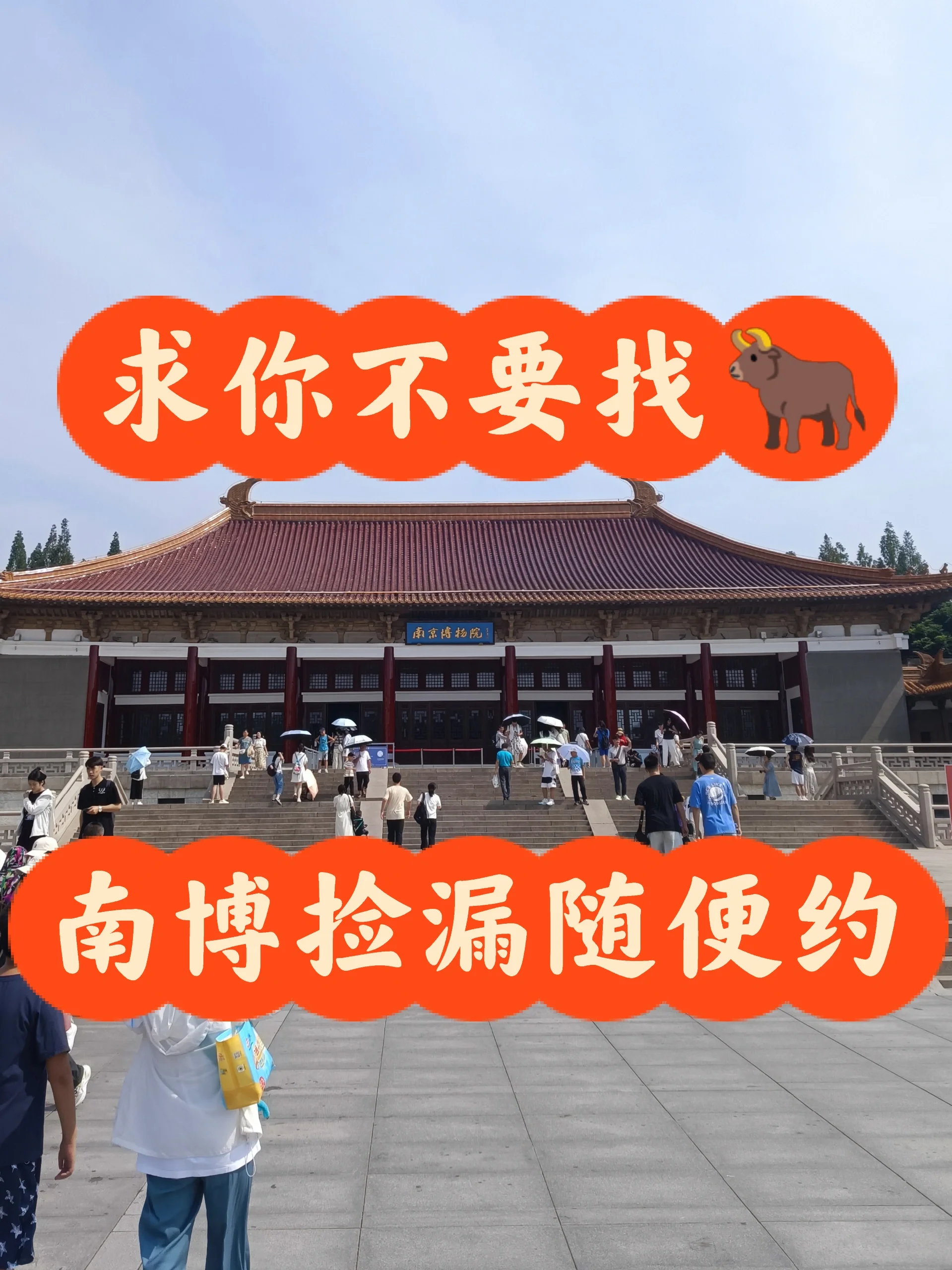 南博现场捡漏随便约！