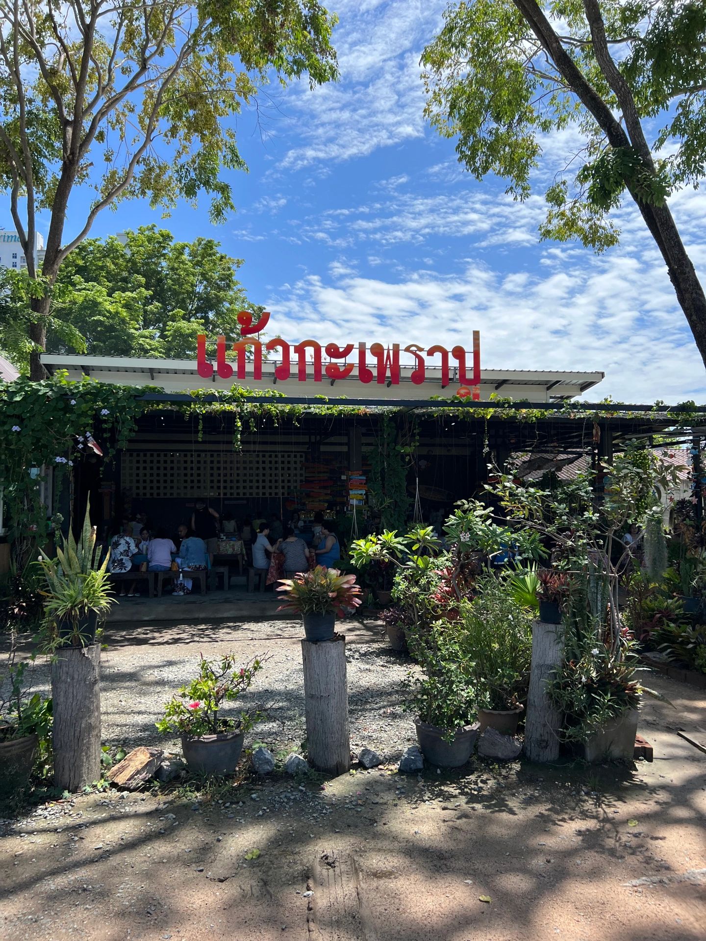 去芭提雅你没吃这些我都会哭，不踩坑美食