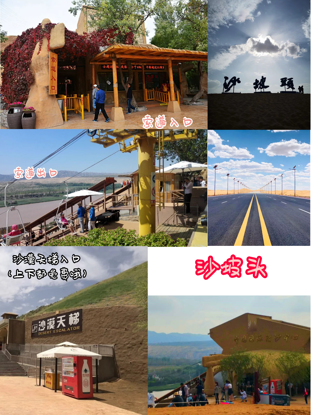 沙坡头攻略吃喝玩乐住