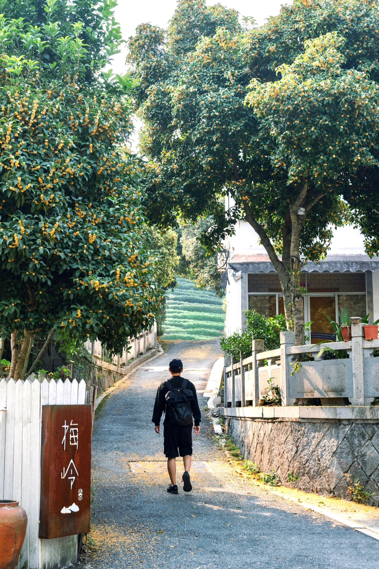放过满觉陇吧,杭州这4个小众地更“香”