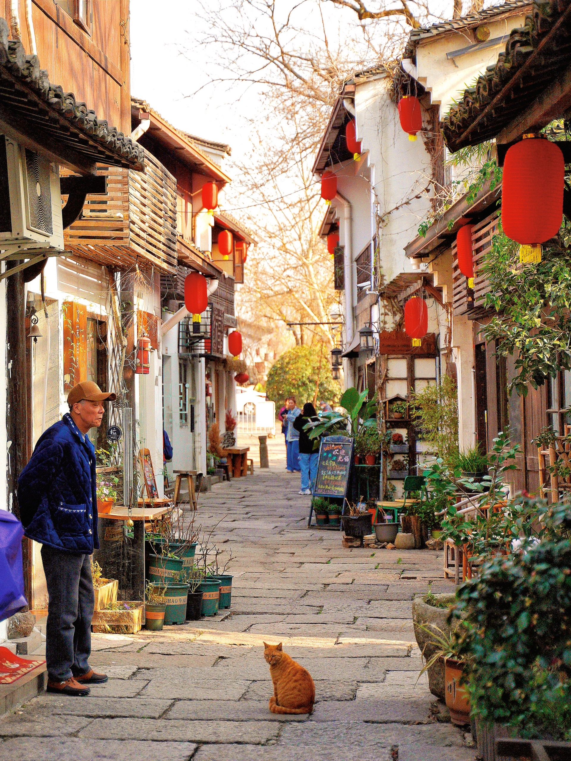 杭州旅游除了西湖，这条老街更值得去打卡