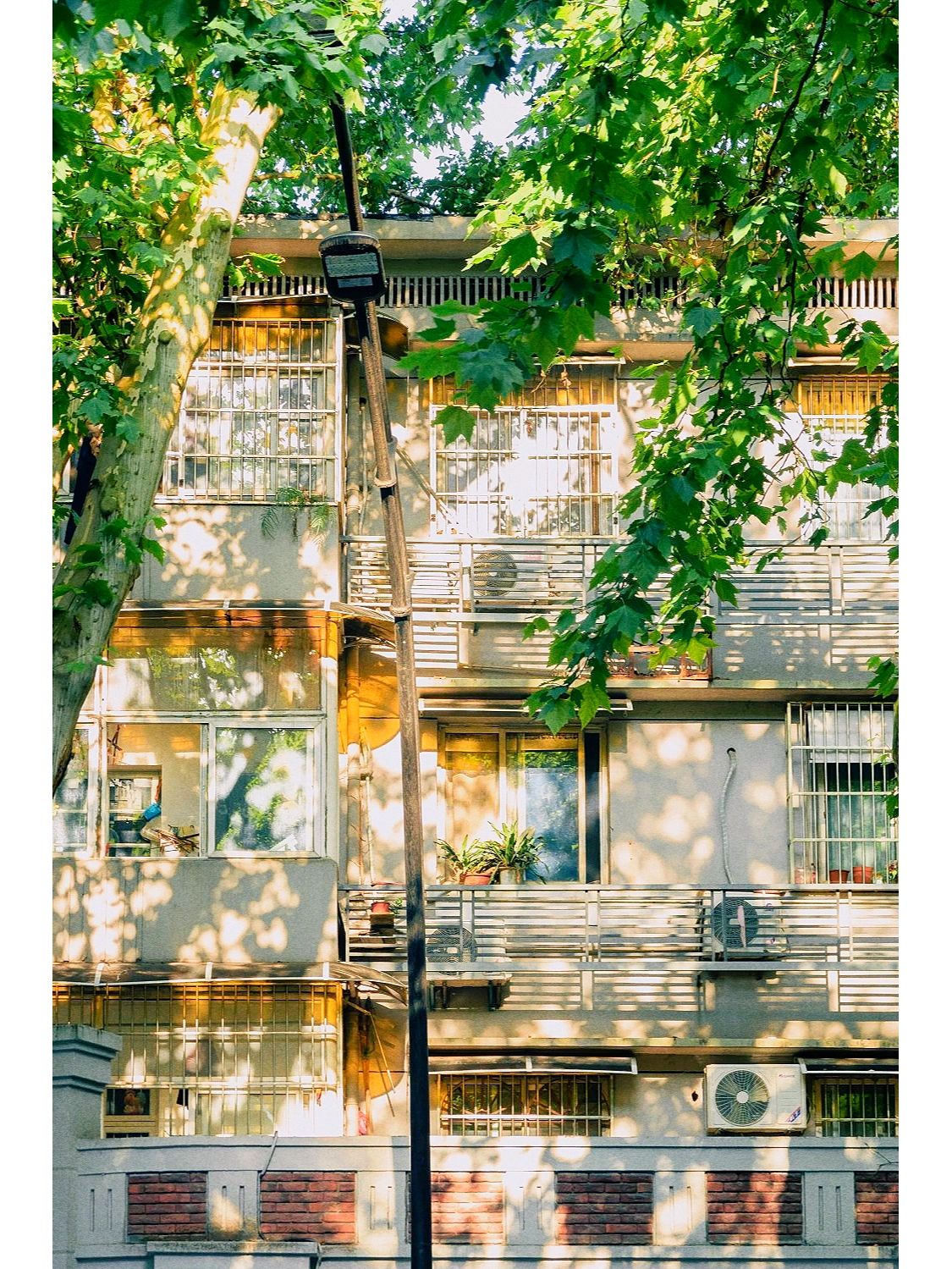 秋日午后南山路街角的治愈画面