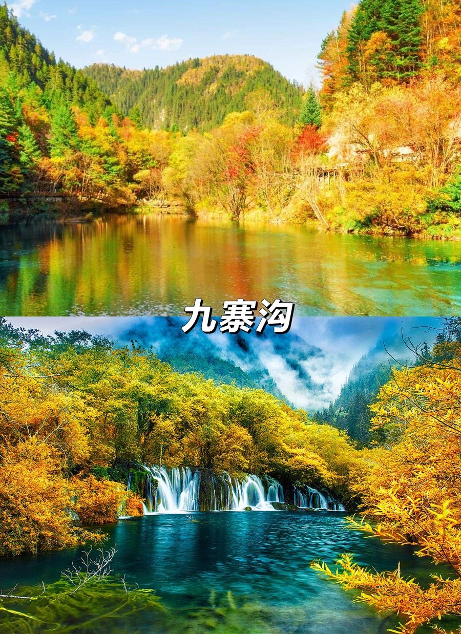 人生建议：一定要带娃在秋天去一次成都川西