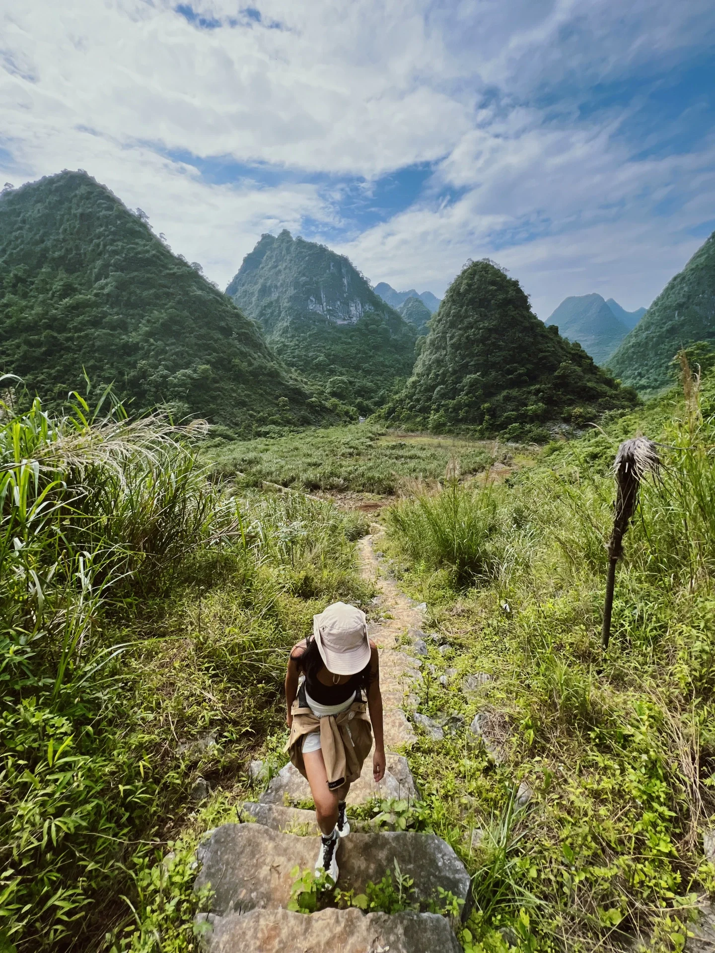 每周一山⛰｜广州避世无人山谷——禾仓古道