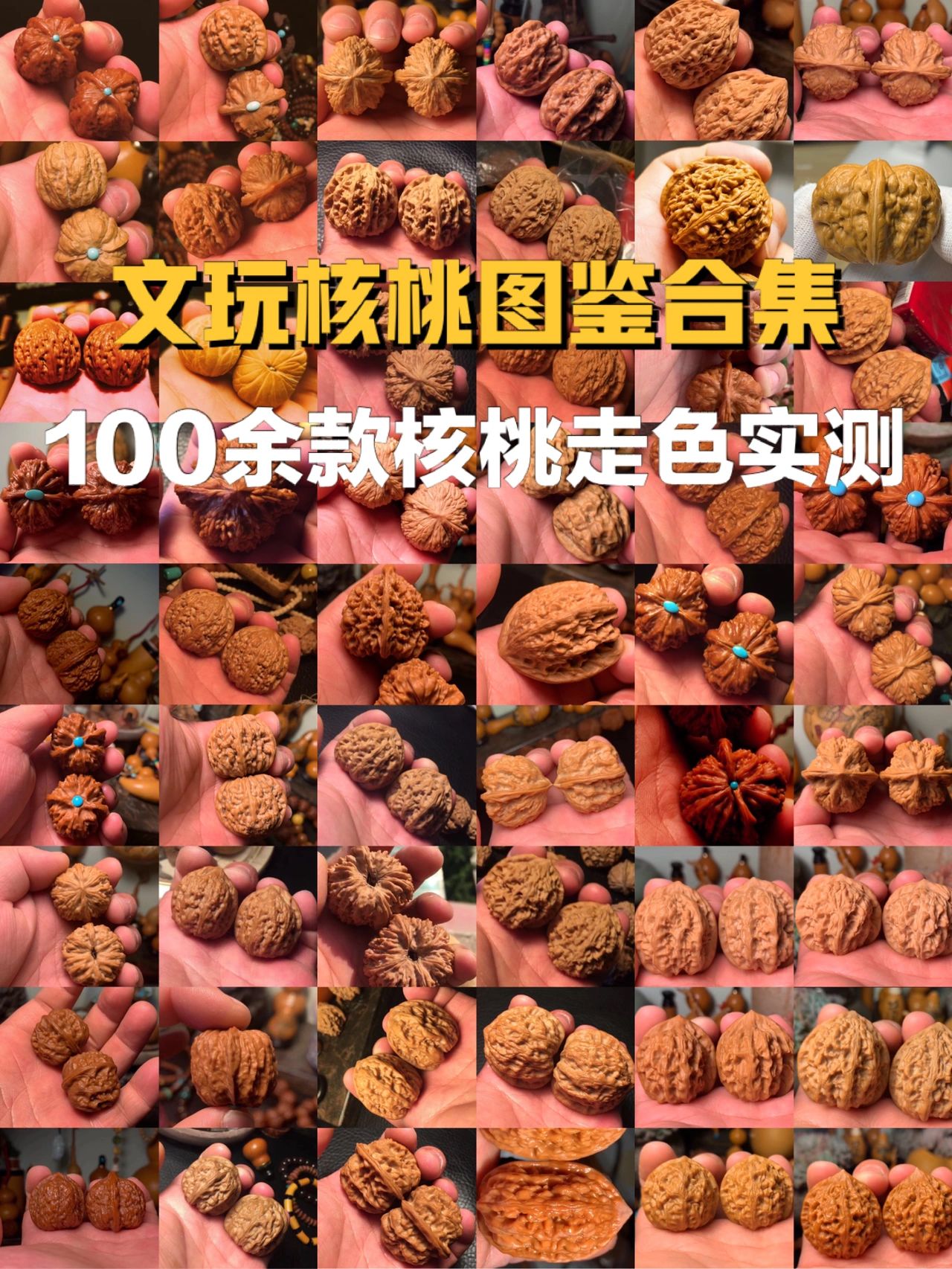 文玩核桃品种图鉴合集|100余款走色实测