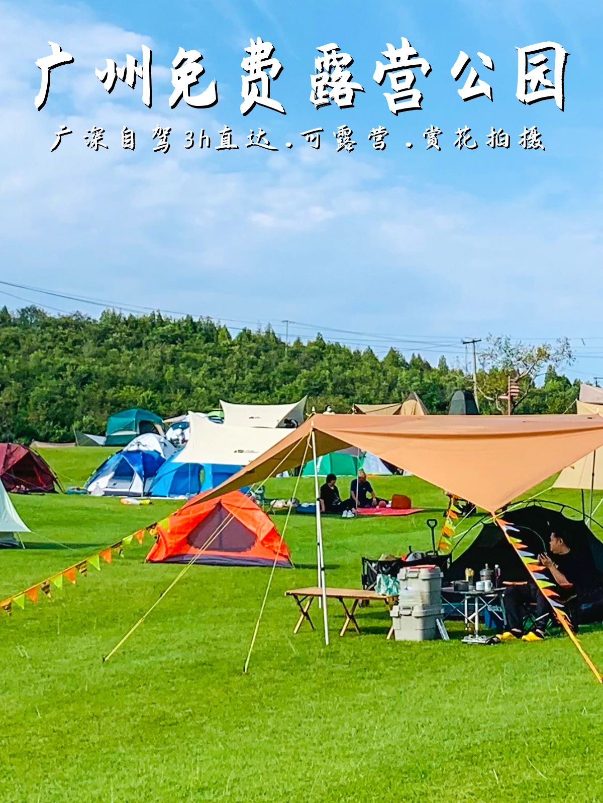 广州免费露营公园！公交直达！