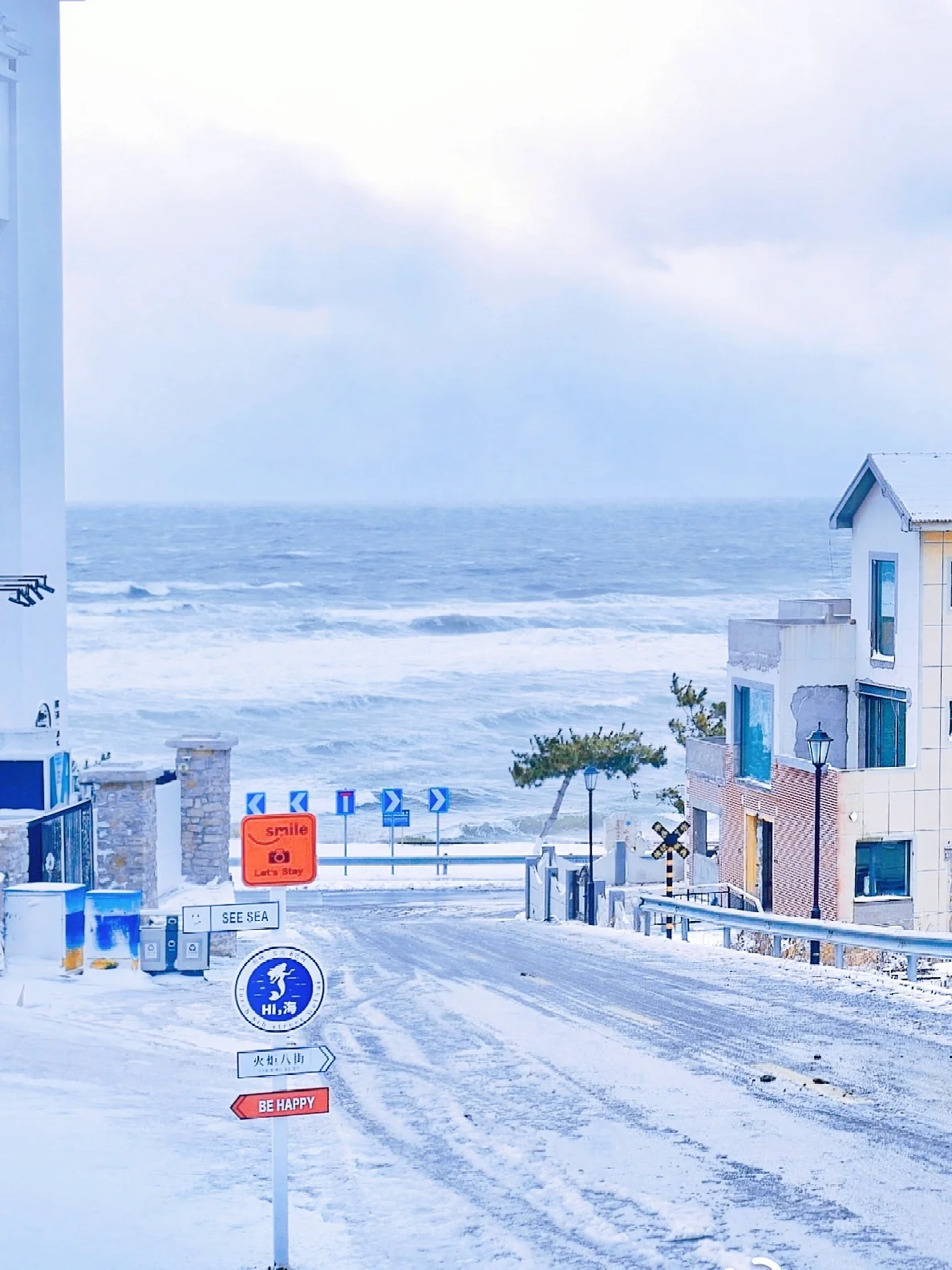 人生建议｜一定要在下雪❄️的季节来次威海