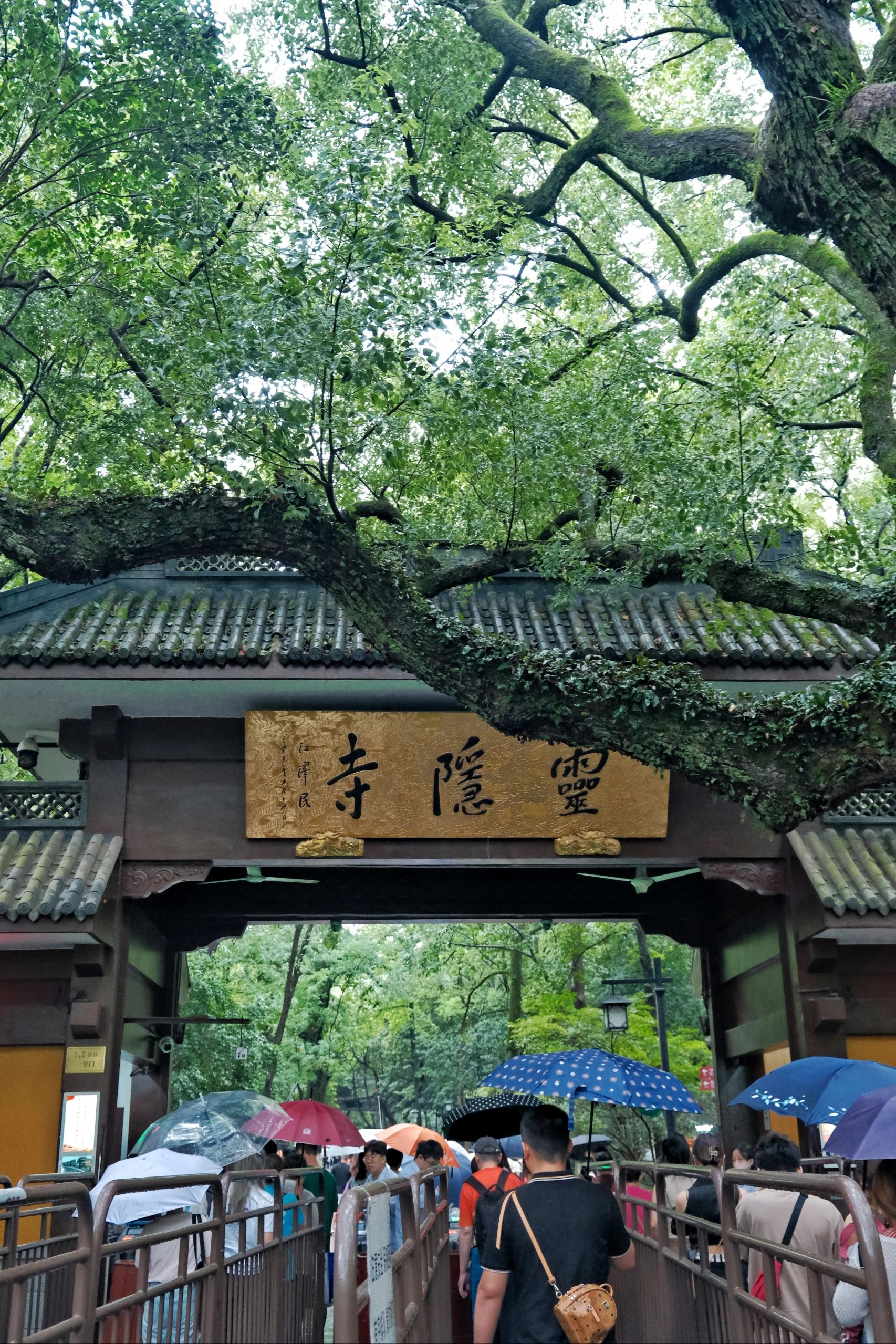 别错过❗️ 今年还有4次免费游灵隐的机会