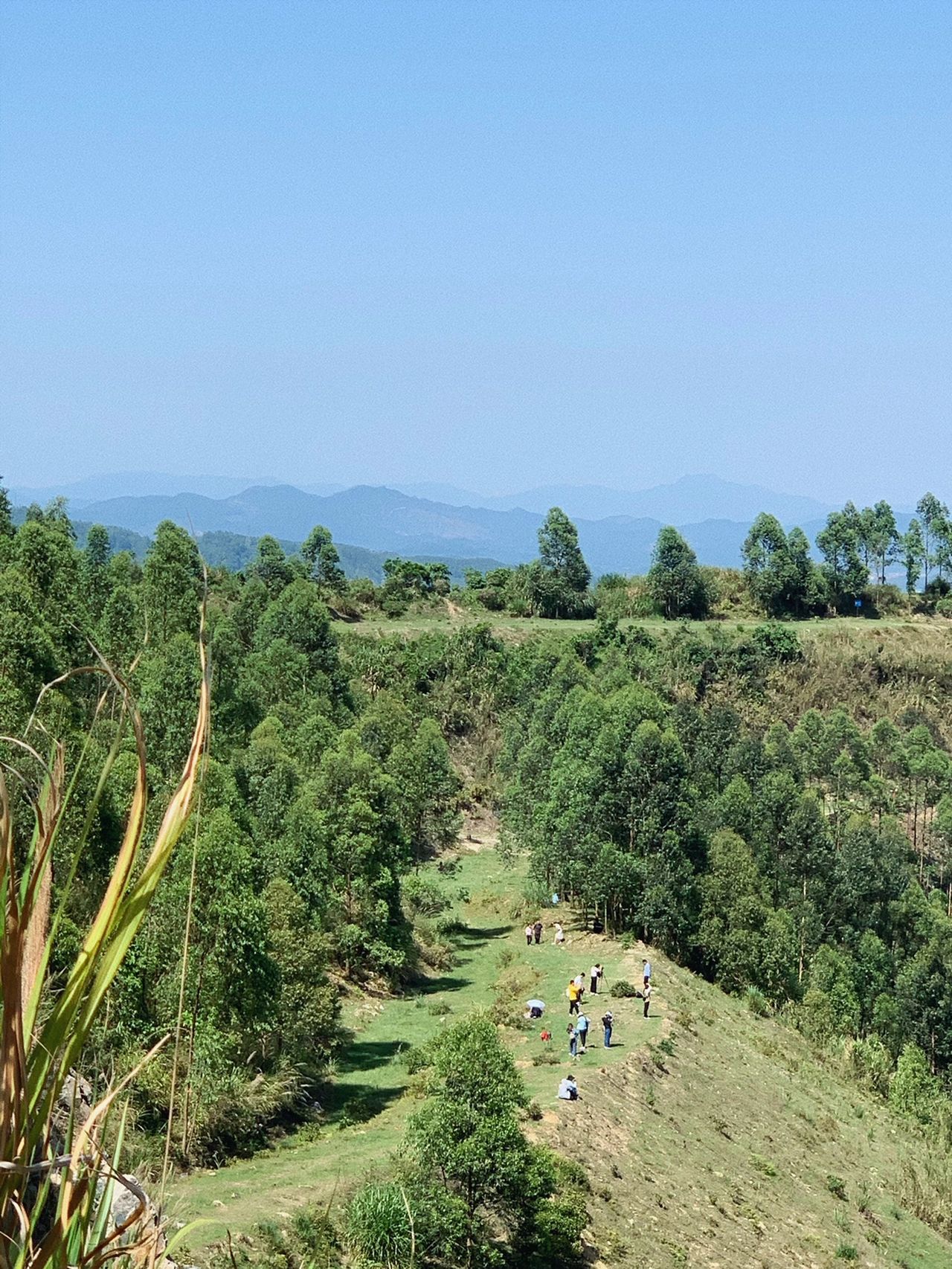 新手徒步 ｜黄埔油麻山⛰️