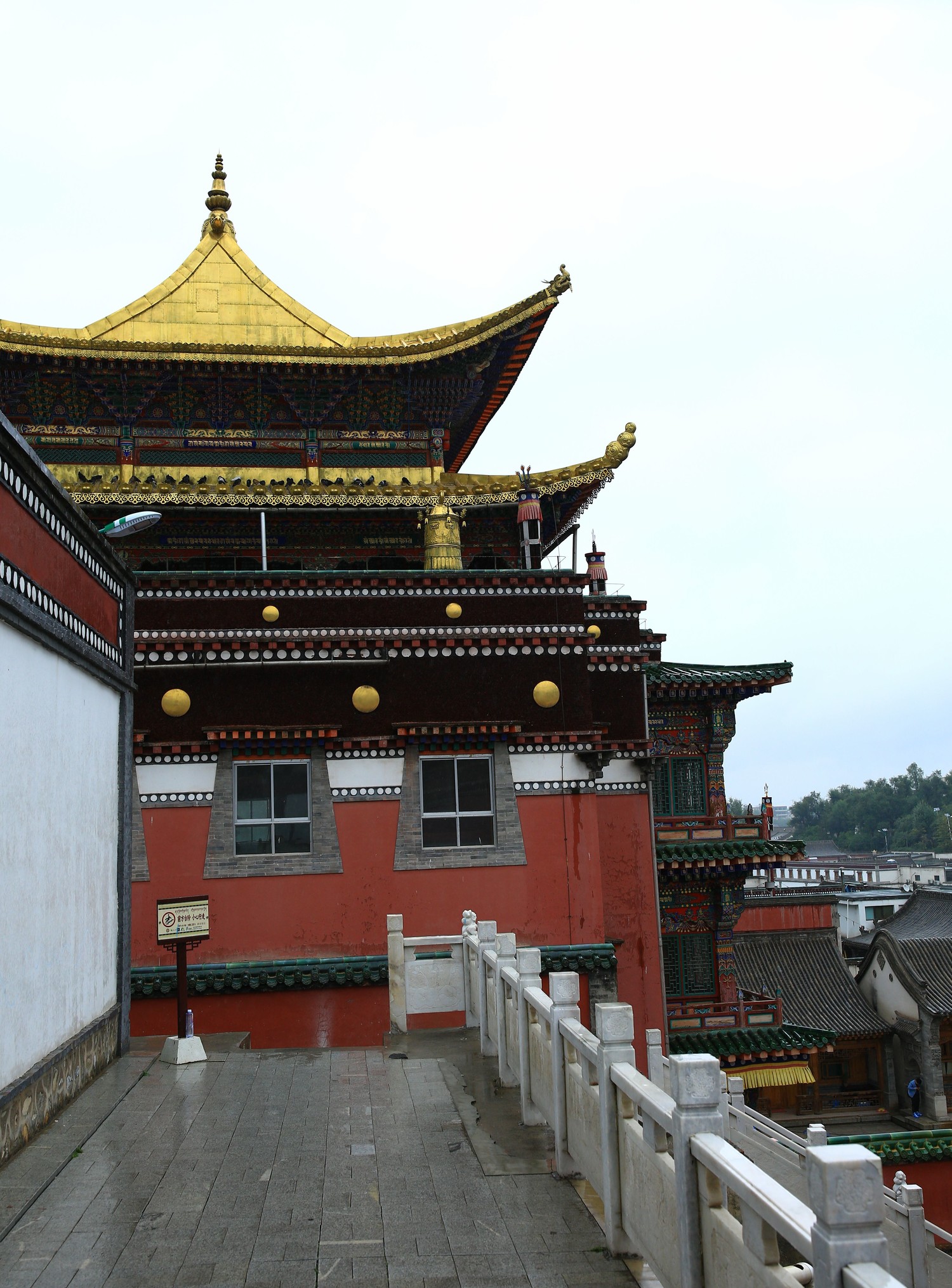 西宁塔尔寺租衣拍照攻略来喽。