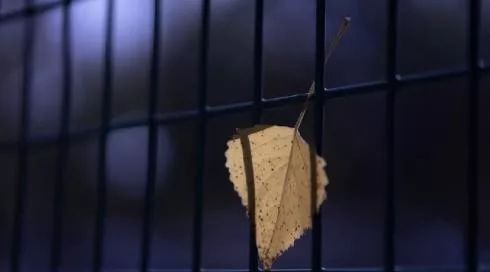 ​别等老了，才知道！ 

别等老了，才知道，健康，才是最贵的资产，活着，才是最大