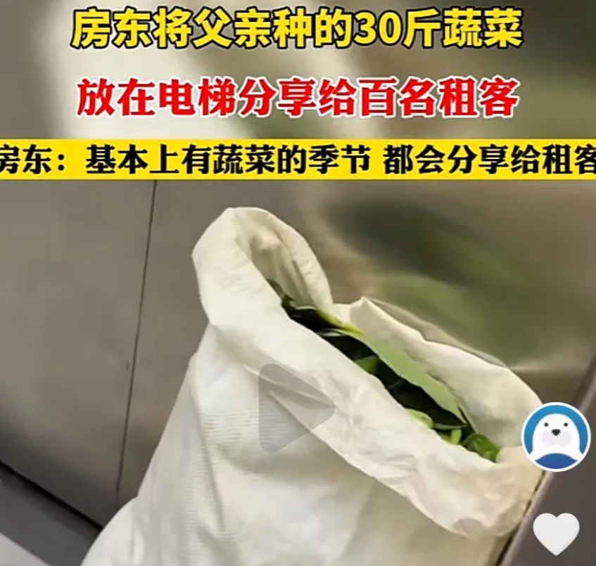 “这个房东彻底火了！”浙江义乌一女子，家里有一栋公寓，大概住了100个左右的租客