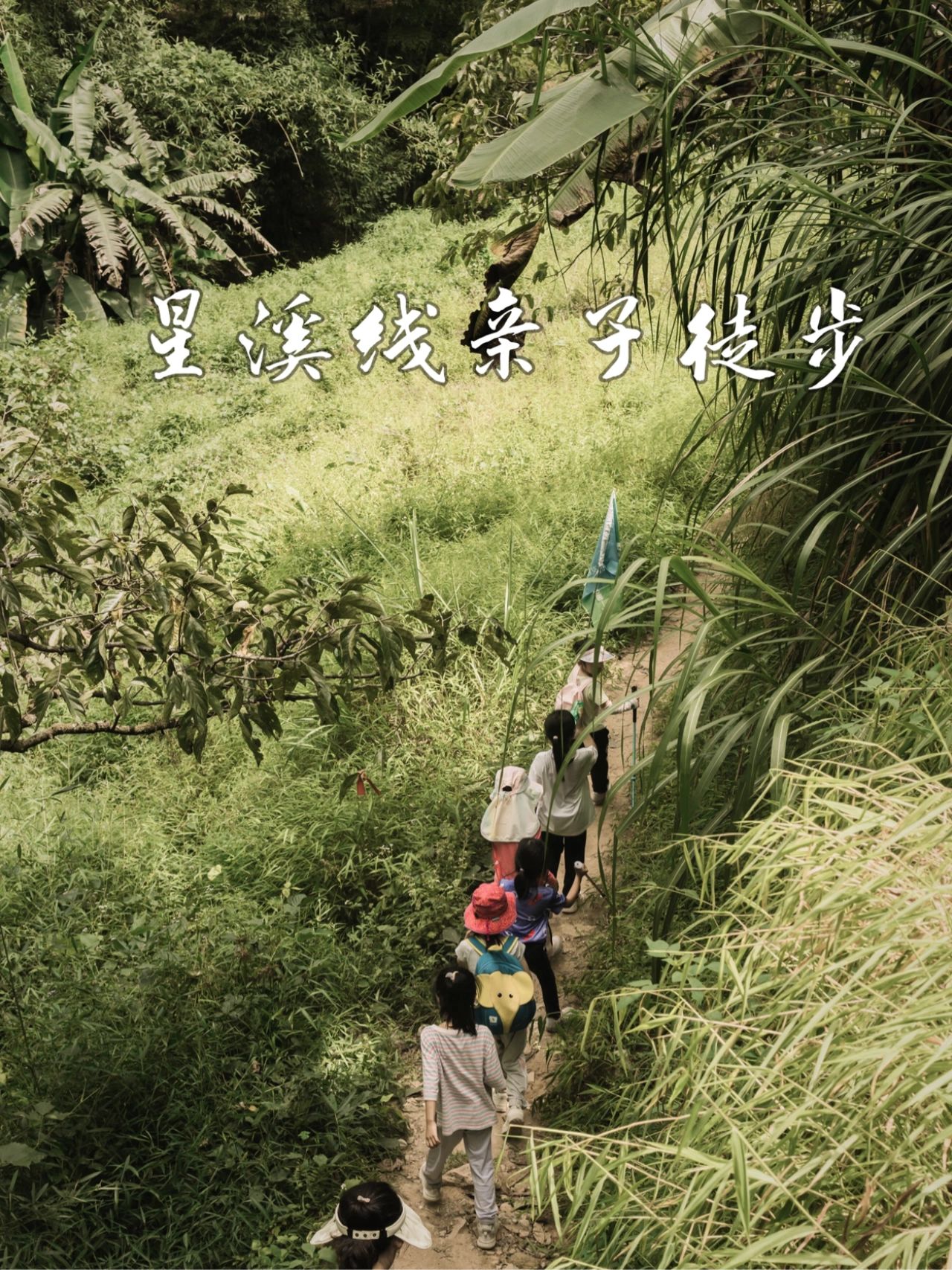 星溪线,不愧是亲子徒步入门路线之首选