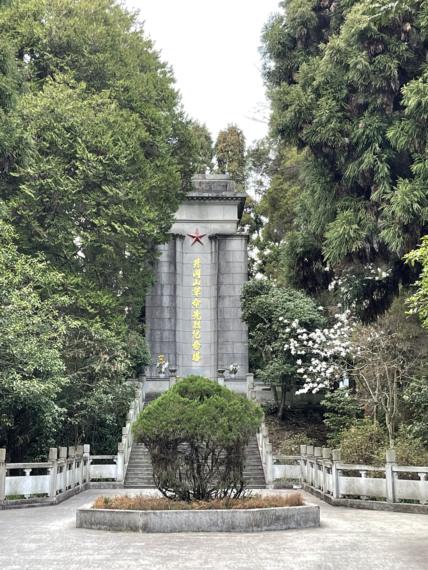 井冈山一日游心得分享