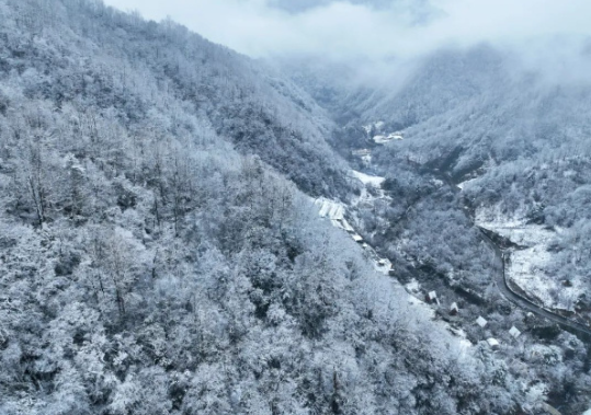 【下雪啦~这个冬天来城口邂逅一场白雪盛宴吧】
近日，城口东安镇、厚坪乡、周溪乡河