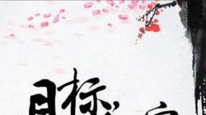 毕生努力只为寿终正寝《目标，寿终正寝》