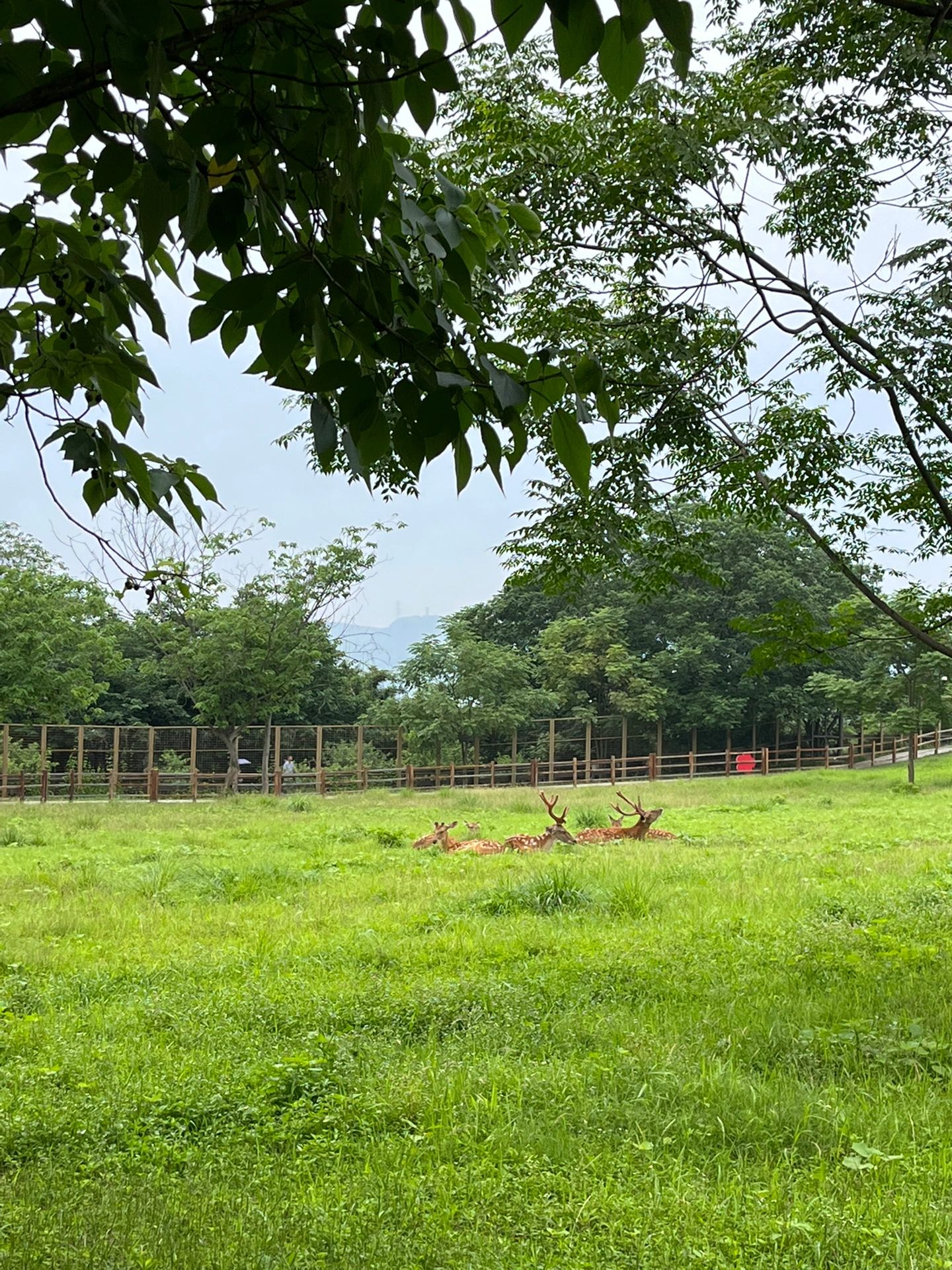 良渚古城遗址公园一日游，亲子出行