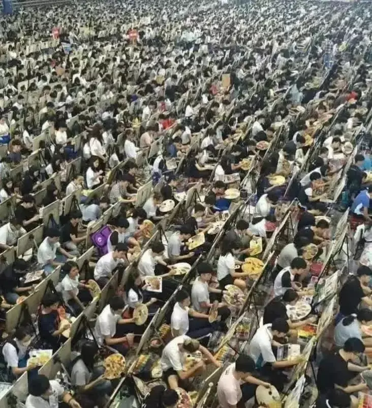 他们离开社会后通常做什么？