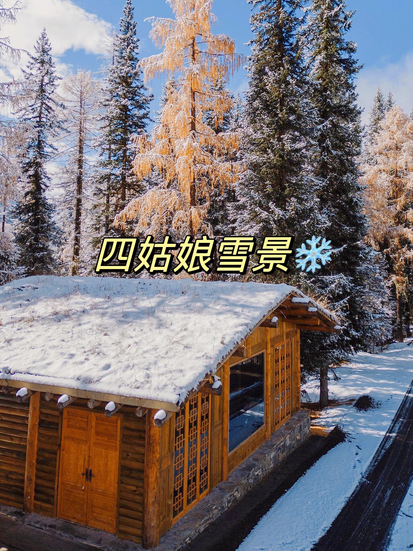 这就是我想要的川西❗️下雪了❄️🌨️