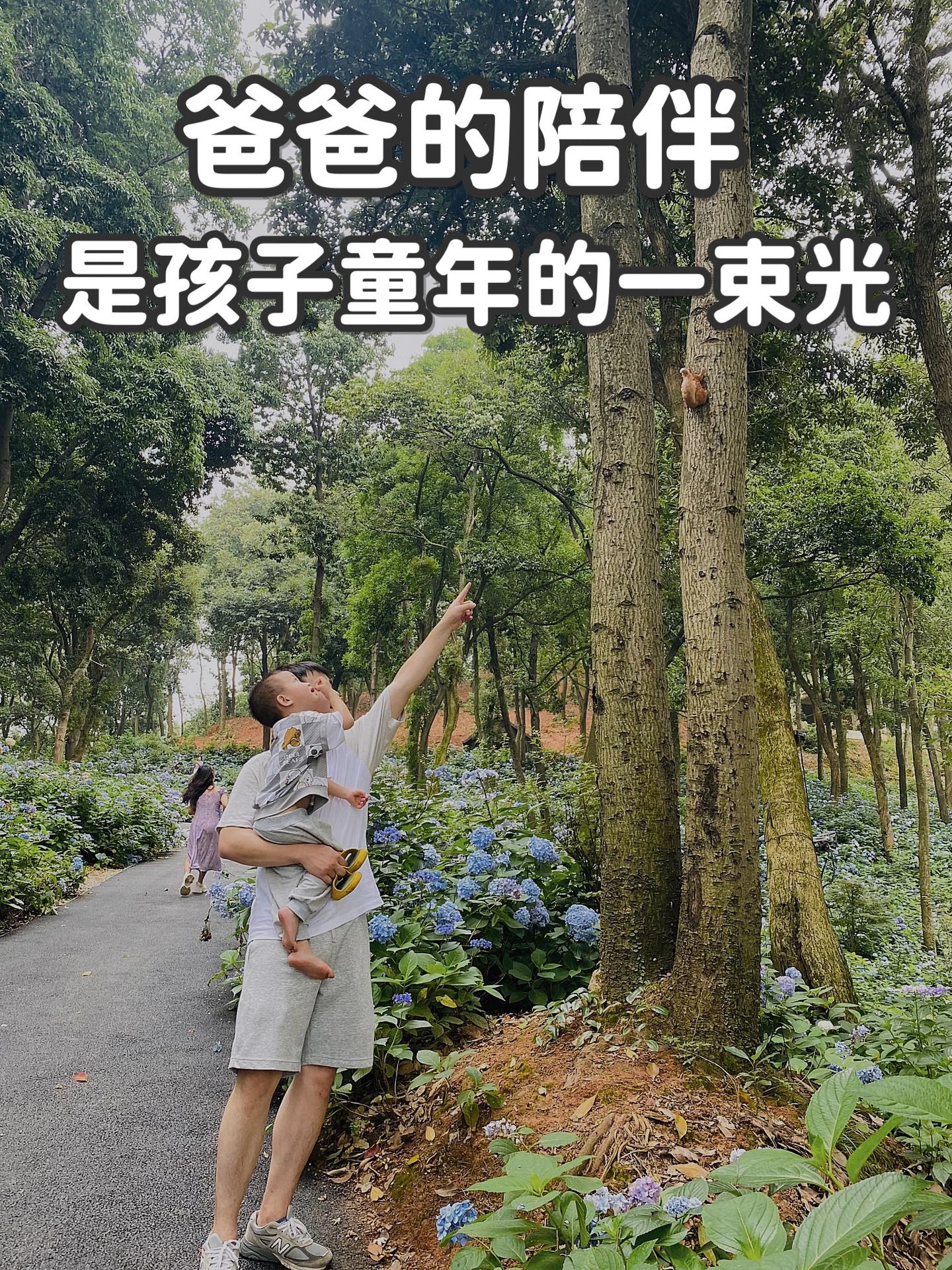 一个好爸爸，胜过所有伟大的教育🌿
