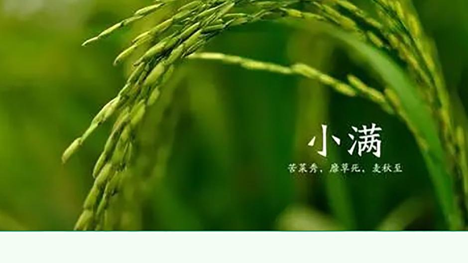 小满护肤tips|这些宝藏护肤品，呵护你的夏日美肌！