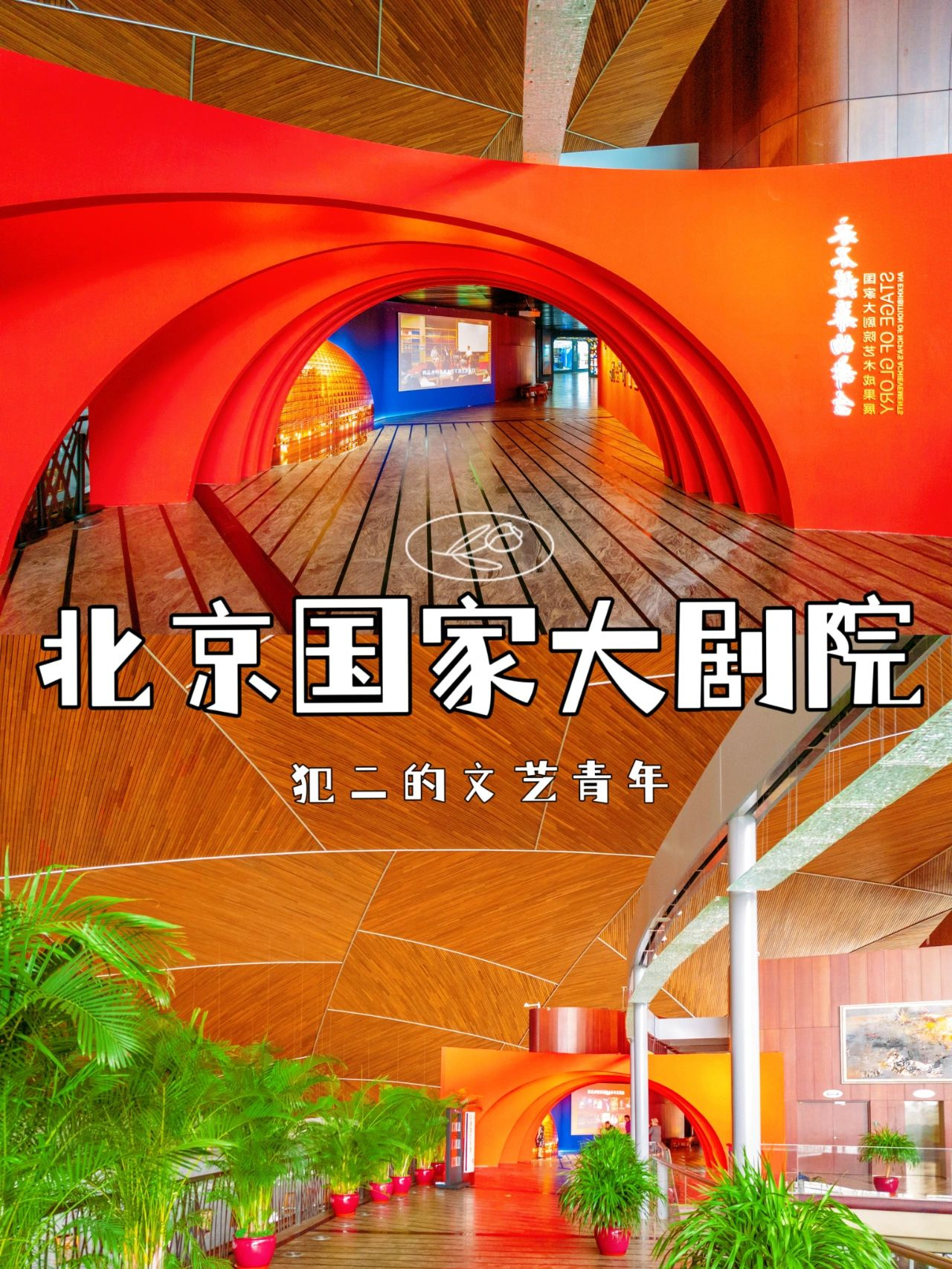 旅行攻略丨北京—国家大剧院