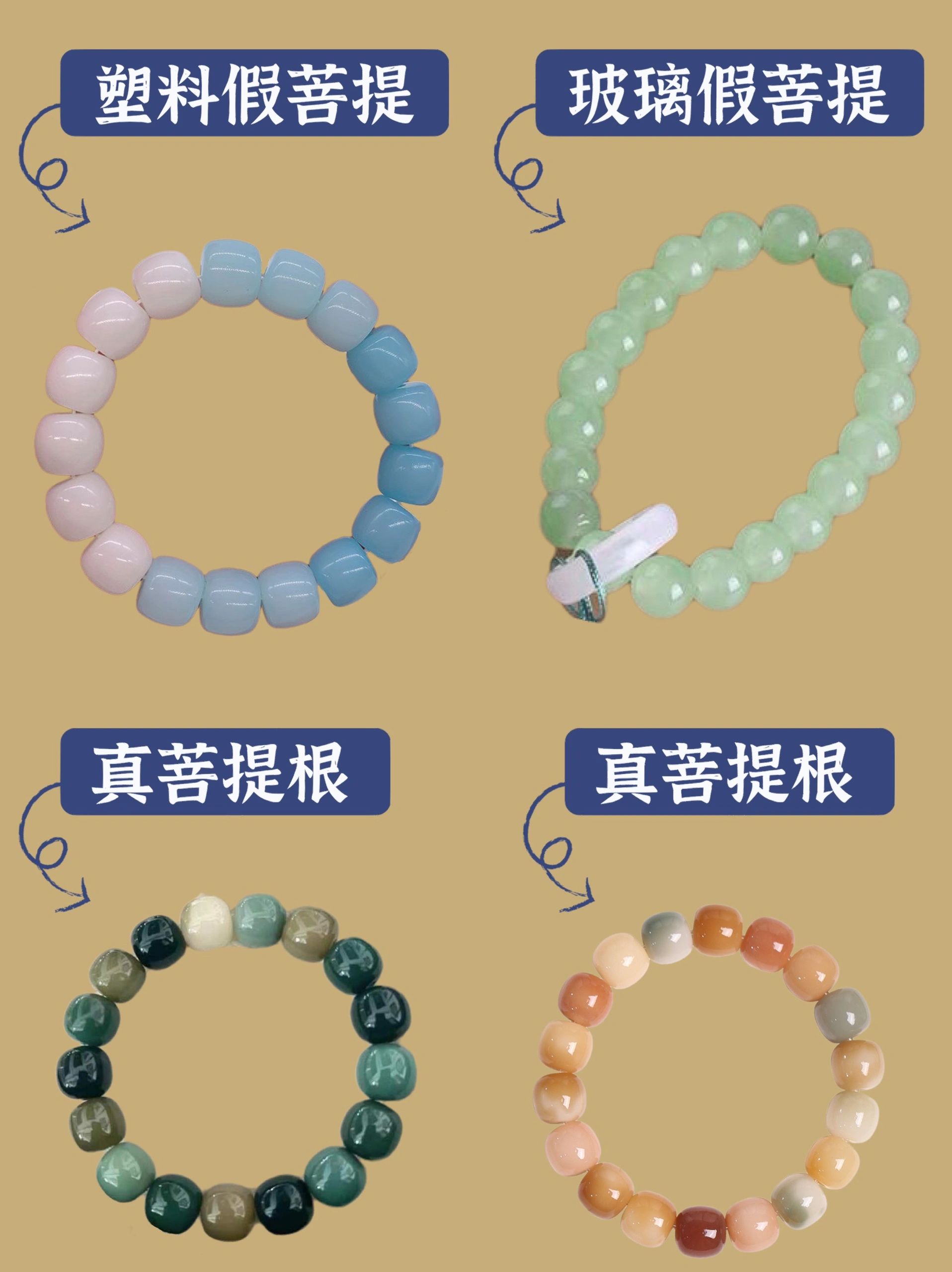 7种辨别菩提根真假的方法，自己在家就能测