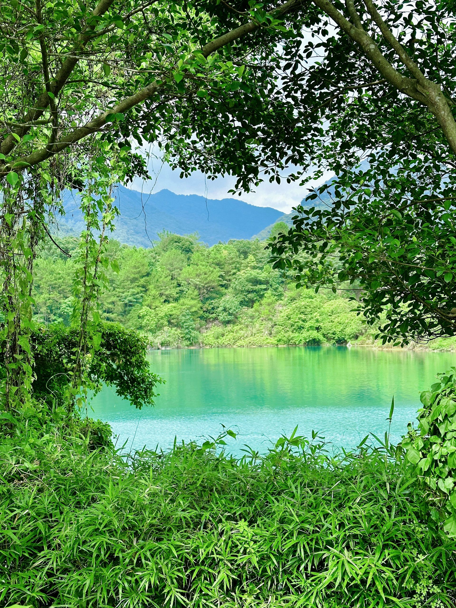 ⛰️徒步计划-广州增城白水寨