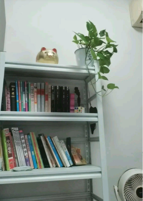 这是我女儿的书架，铁皮的。
在购买这个铁皮书架之前，我曾对此持强烈的反对态度。我