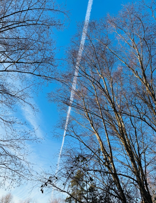 北极寒流还在肆虐，气温却在缓慢回升。几天前下的雪变成了冰末，踩上去会发出窸窣的破
