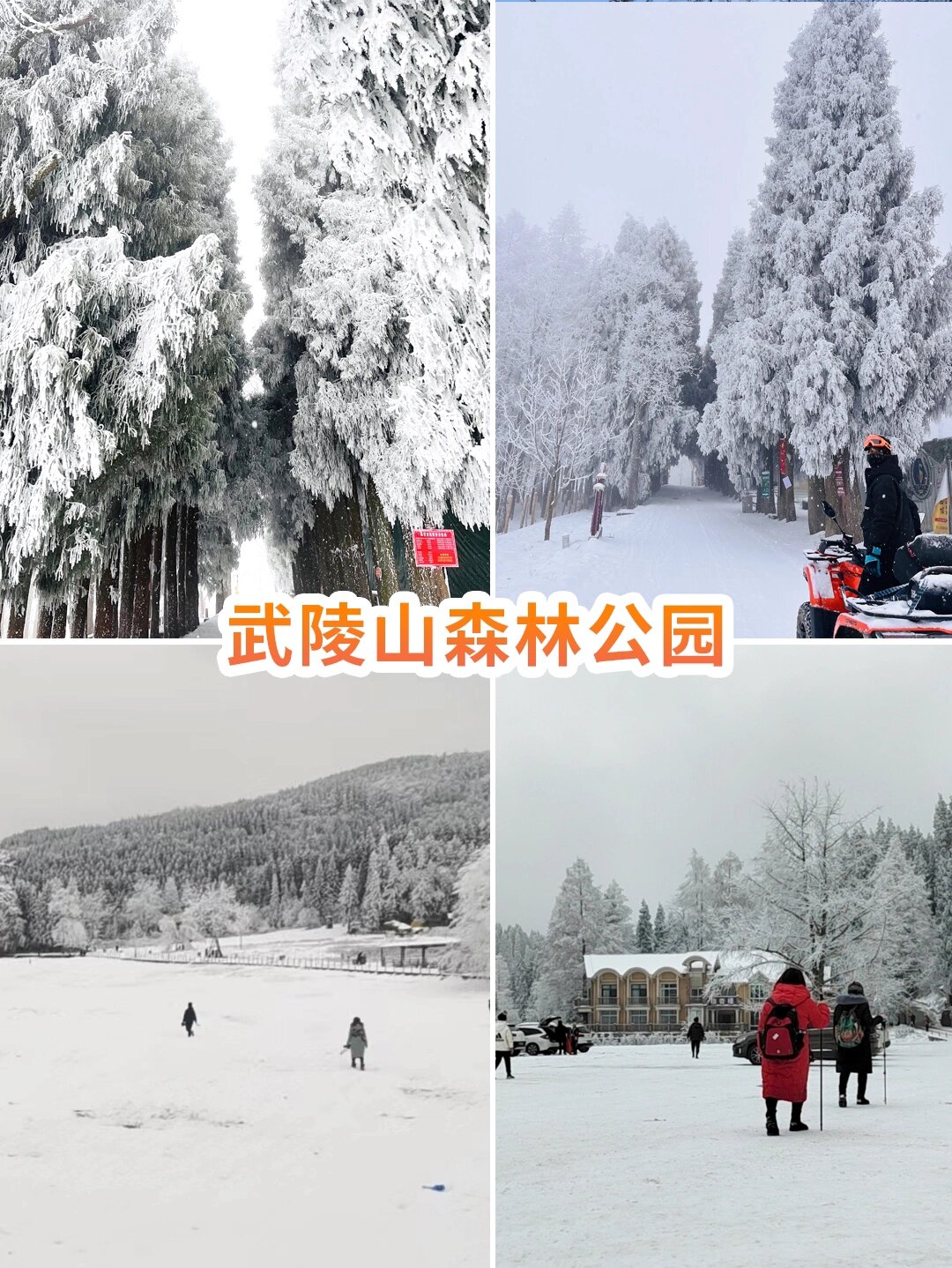冬天赏雪玩雪❄️重庆周边自驾游线路推荐