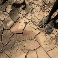 心想事成万事如意