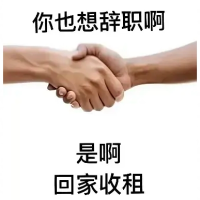 孙哥有理