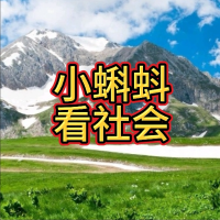 小蝌蚪看社会