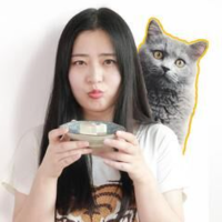 发现喵说车日记