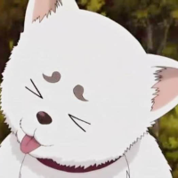 南月爱怀旧软件