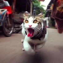 轻松的生活